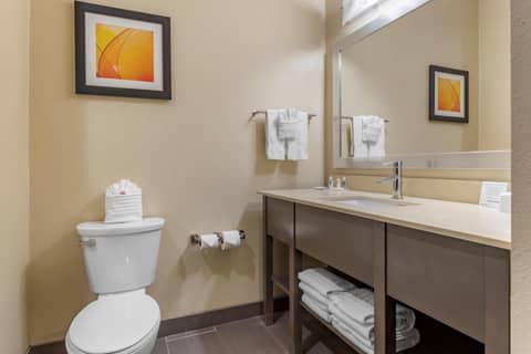 Comfort Suites Near Sam Houston Race Park — photo 2