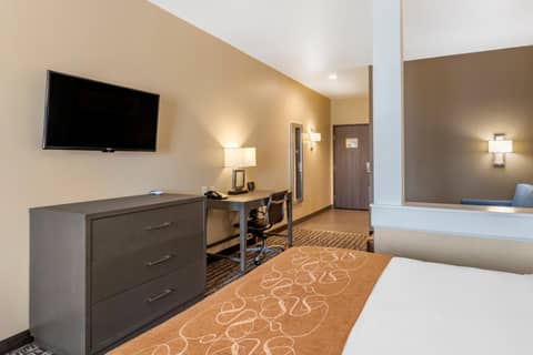 Comfort Suites Near Sam Houston Race Park — photo 7