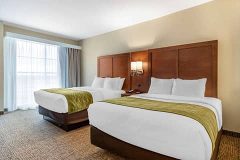 Comfort Suites San Antonio Ft Sam Houston-SAMMC Area — photo 2