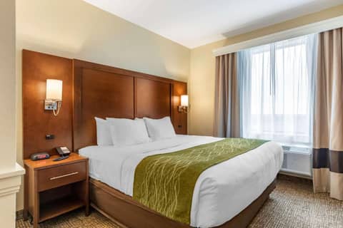 Comfort Suites San Antonio Ft Sam Houston-SAMMC Area — photo 3