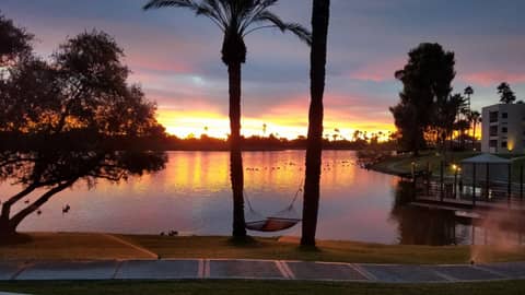 The McCormick Scottsdale — photo 7