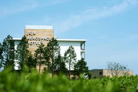 Jeju Aerospace Hotel — photo 5