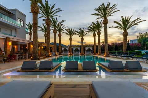 Drossia Palms Hotel and Nisos Beach Suites — recepcion & lobby