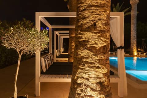 Drossia Palms Hotel and Nisos Beach Suites — recepcion & lobby