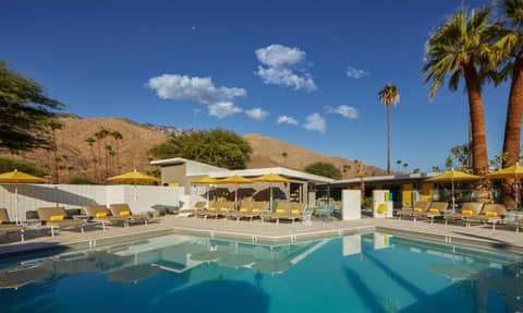 Twin Palms Resort - A Gay Men's Resort — recepcion & lobby