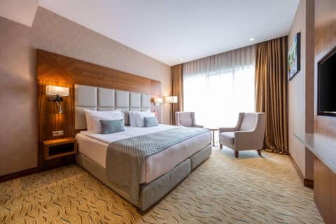 Clarion Hotel Istanbul Mahmutbey — photo 3