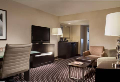 Embassy Suites by Hilton Houston Near the Galleria — photo 4