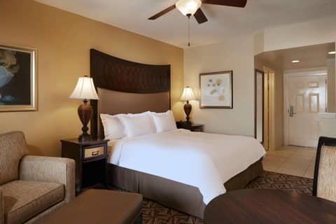 Hilton Grand Vacations Club SeaWorld Orlando — photo 4
