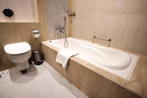 Leisure Inn Grand Chanakya — bathroom