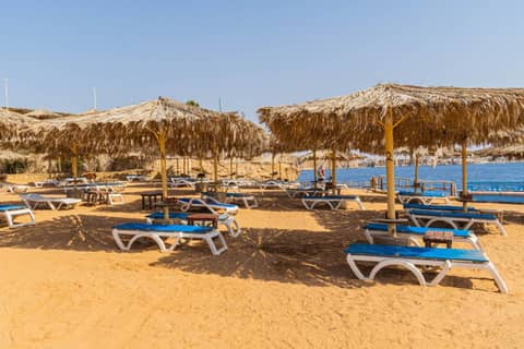 Sharm Reef Hotel — photo 4