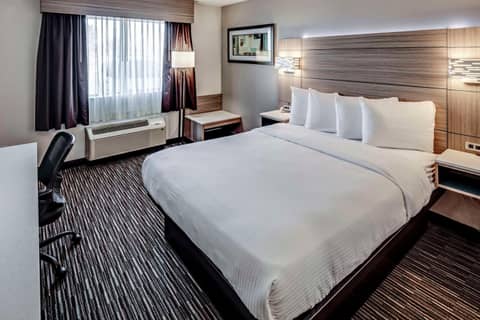 Best Western Columbus Airport — hotel room
